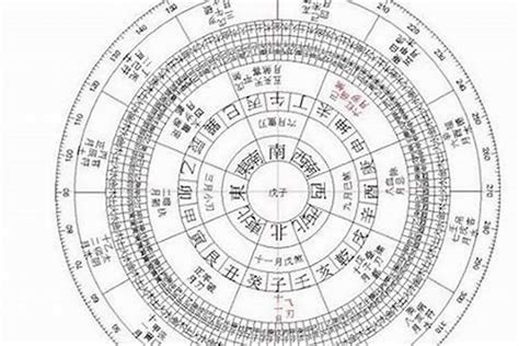 己未日柱|八字己未日柱命理详解，日柱论命己未日解析